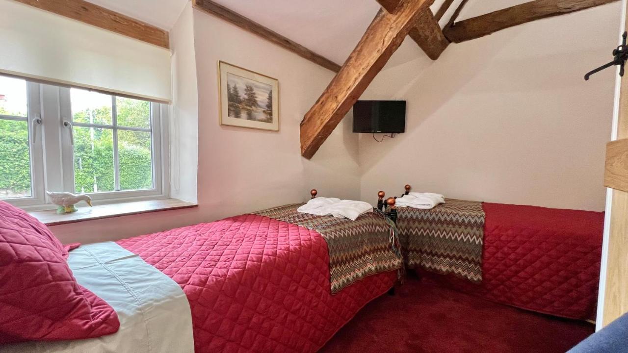 Cosy Cottage เวลลิงตัน ภายนอก รูปภาพ
